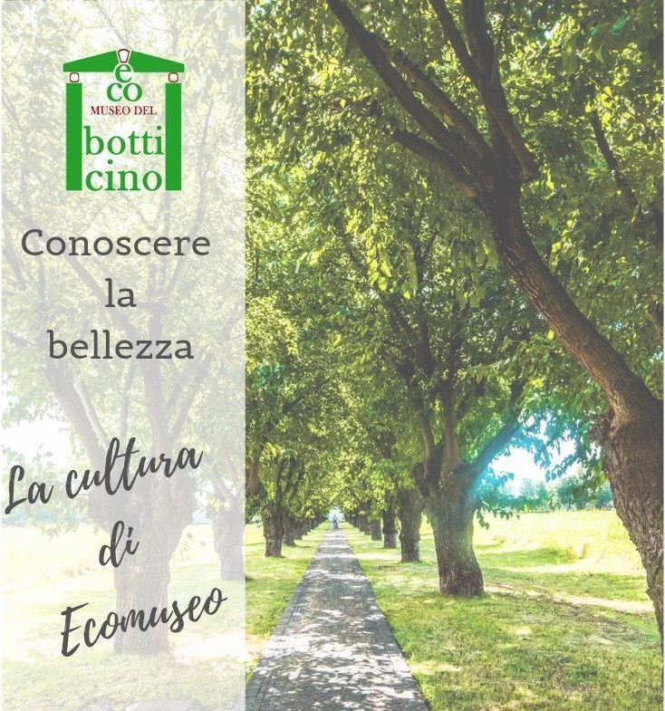 locandina mesi cultura 2019