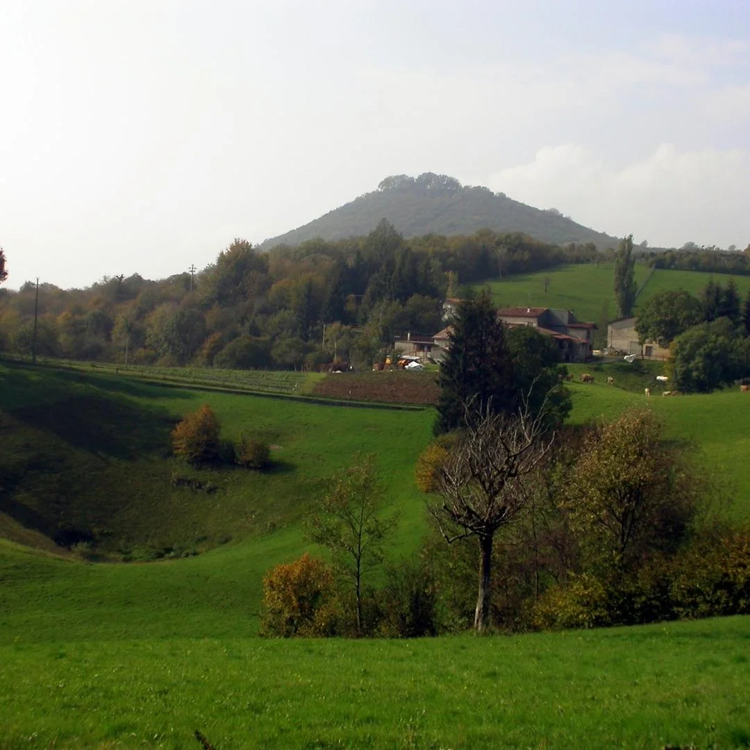 cariadeghe
