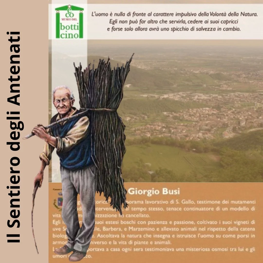 Giorgio Busi