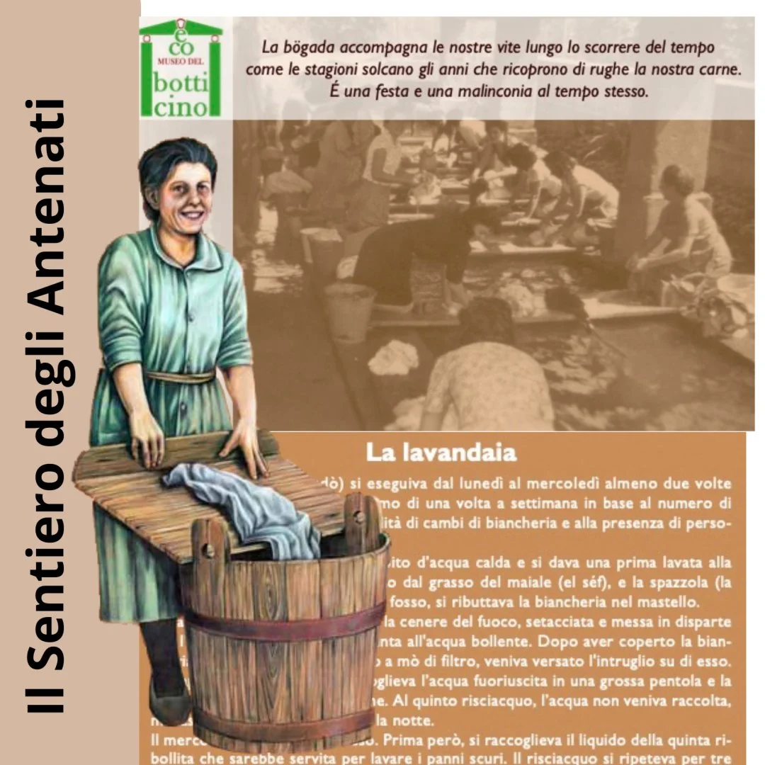 lavandaia